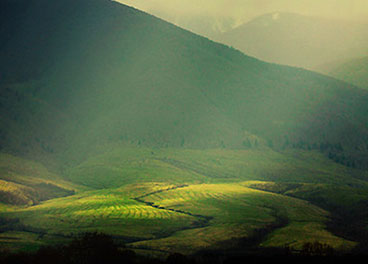 在线手机号测压